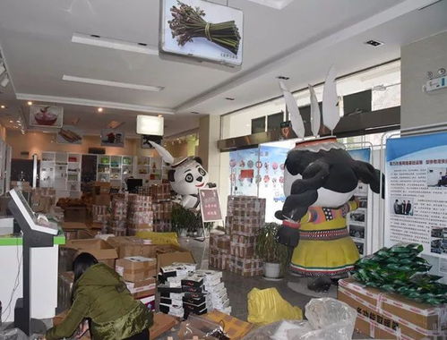 整合規范物流快遞，打造電商生態體系下的普通貨物倉儲服務新格局